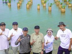 Gubernur Mirza Lakukan Penanaman Mangrove dan Pemasangan Appostrap di Pantai Pesisir Teluk Pandan, Pesawaran