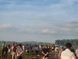 Kalah di MA, Warga Lamteng Nekat Bertani di Lahan Perusahaan