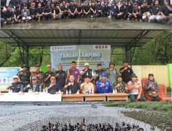 Meski Diguyur Hujan, Tangan Lampung Berhasil Tanam 5.000 Mangrove di Pulau Pasaran