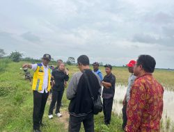 Normalisasi Tersier Mendesak, Lesty Turun Tangan