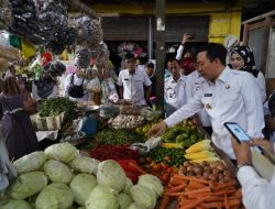 PJ Bupati Pringsewu Cek Ketersediaan Pangan di Pasar