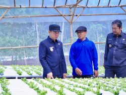 PJ Bupati Pringsewu Tinjau Budidaya Pertanian Hydroponic