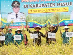 Pj. Gubernur Samsudin dan Ibu Maidawati Panen Raya Padi Musim Tanam Gadu di Mesuji