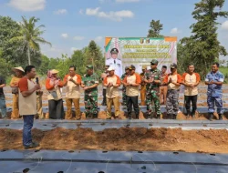 Pj. Gubernur Samsudin Tanam Cabai di Lampung Timur