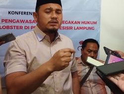 Benih Lobster Diperairan Lampung Kerap Dicuri, Polda Lampung Tutup Mata?