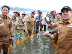 Pj Gubernur Lampung Tanam 20.000 Mangrove di Pantai Marine Eco Park