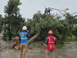 PLN Pulihkan Kelistrikan 29 Ribu Pelanggan, Pasca Diterjang Cuaca Ekstrem