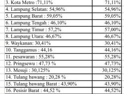 Kabupaten Tertinggal di Aspal yang Retak